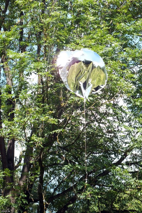 dscf7105.jpg dscf7105.jpg