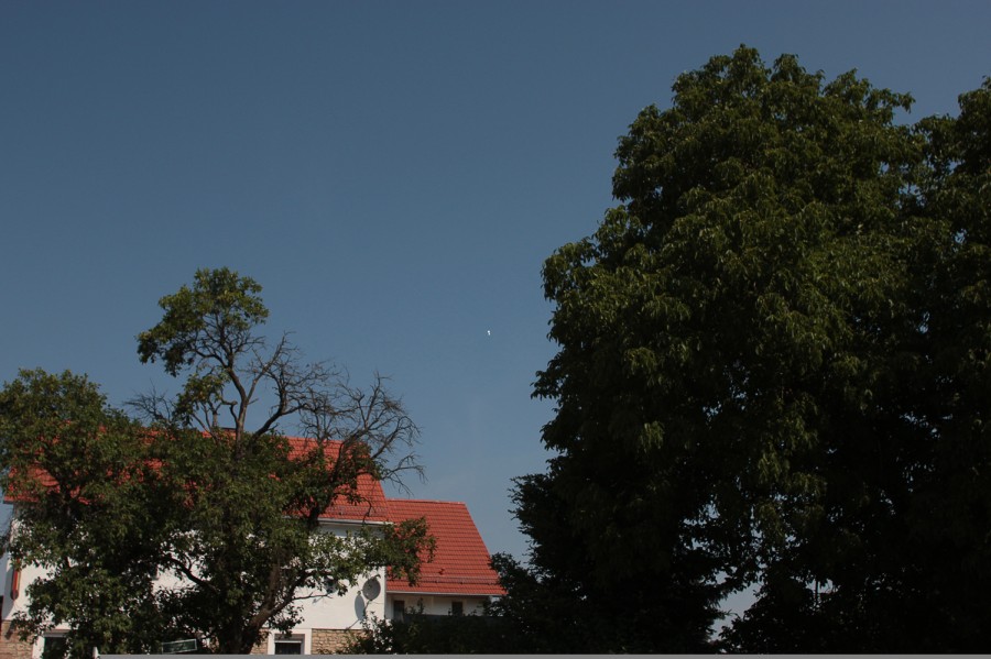 img_4531.jpg img_4531.jpg